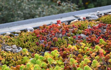 the cost of Hickmans Green green roof installation