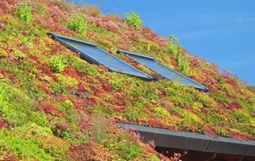 Hickmans Green living roof systems